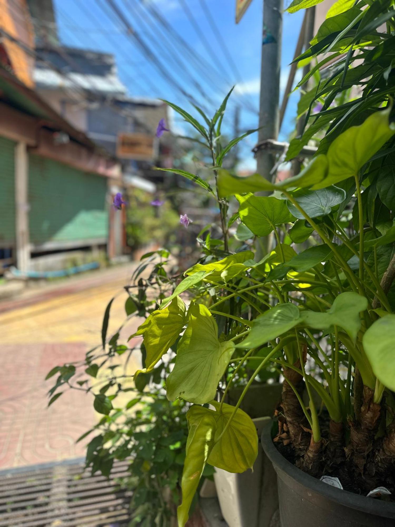 Bang Sit Guest House Ko Phi Phi Zewnętrze zdjęcie